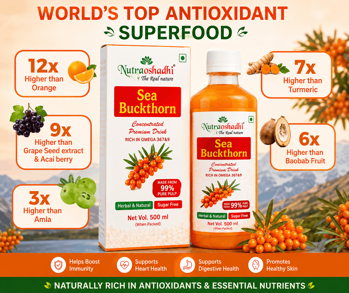 Sea Buckthorn Pulp 500ml