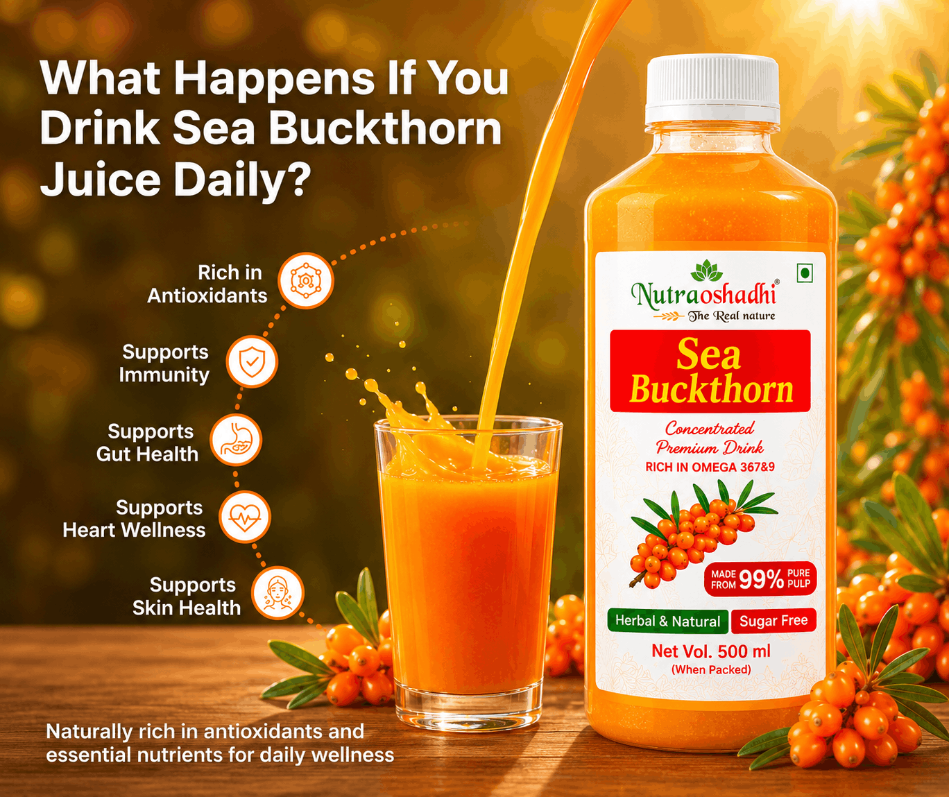 Sea Buckthorn Pulp 500ml